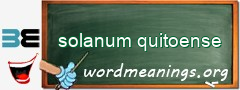 WordMeaning blackboard for solanum quitoense